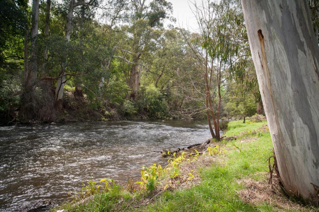 Отель Oscar'S On The Yarra Уорбертон Номер фото